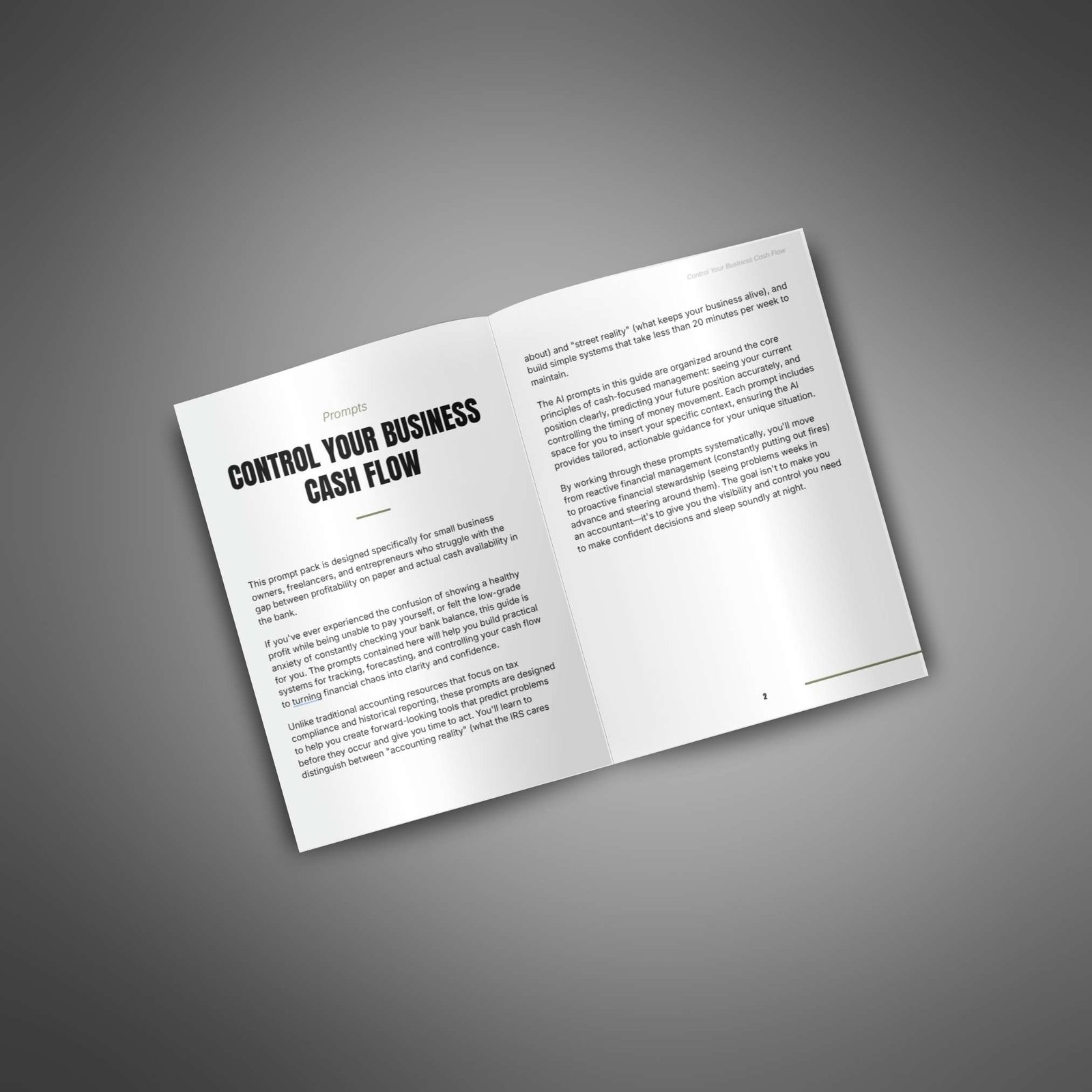 Control Your Business Cash Flow β AI Prompt Pack - Image 2