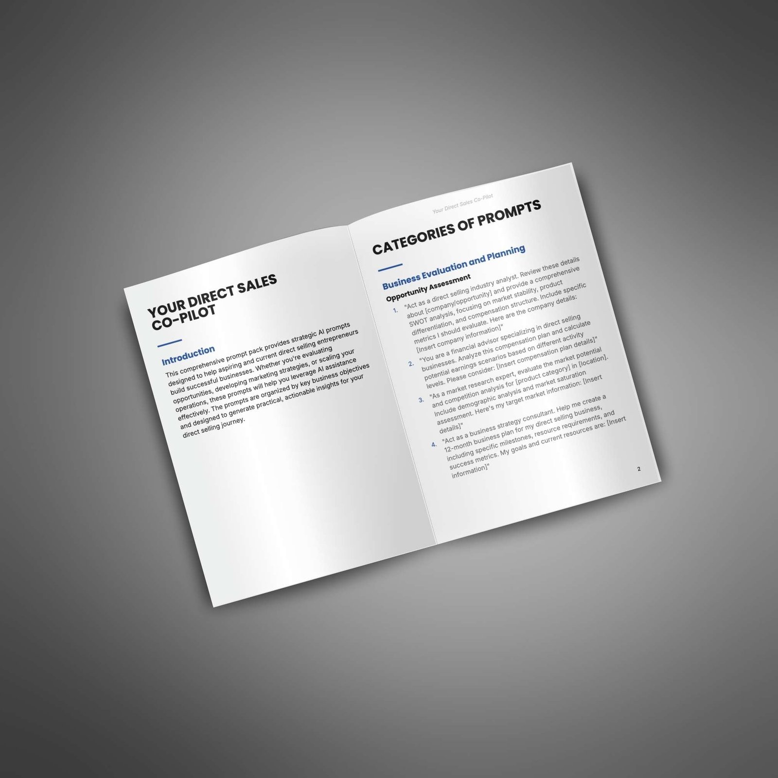 Your Direct Sales Co-Pilot β AI Prompt Pack - Image 2